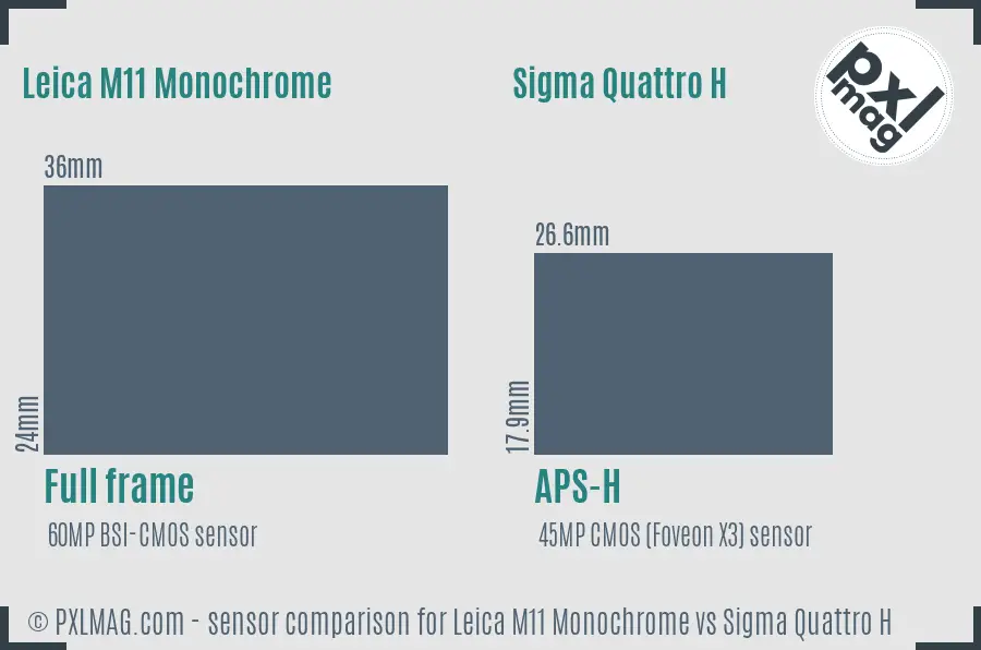 Leica M11 Monochrome vs Sigma Quattro H sensor size comparison