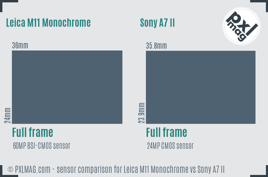Leica M11 Monochrome vs Sony A7 II sensor size comparison