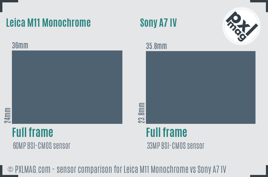 Leica M11 Monochrome vs Sony A7 IV sensor size comparison