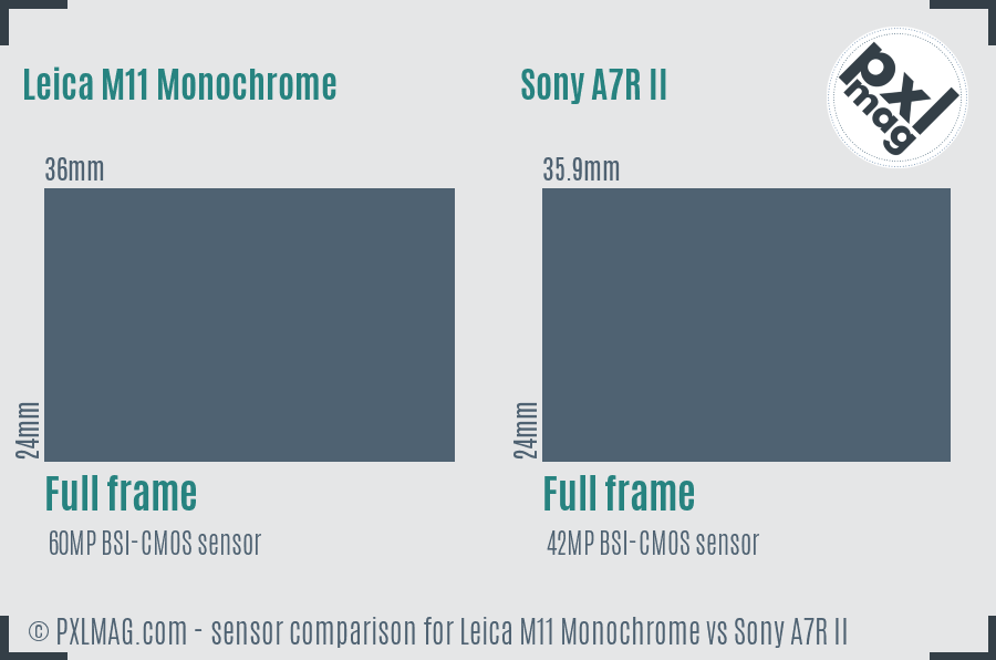 Leica M11 Monochrome vs Sony A7R II sensor size comparison