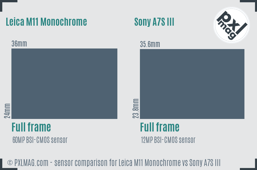 Leica M11 Monochrome vs Sony A7S III sensor size comparison