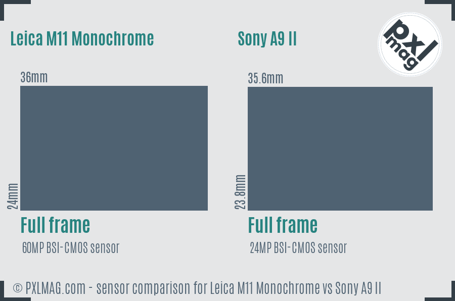 Leica M11 Monochrome vs Sony A9 II sensor size comparison