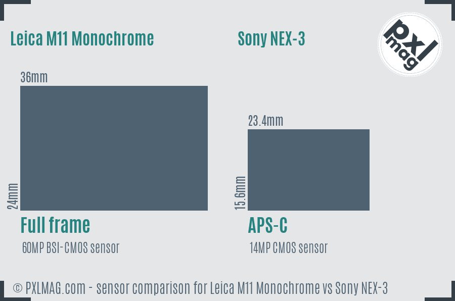 Leica M11 Monochrome vs Sony NEX-3 sensor size comparison