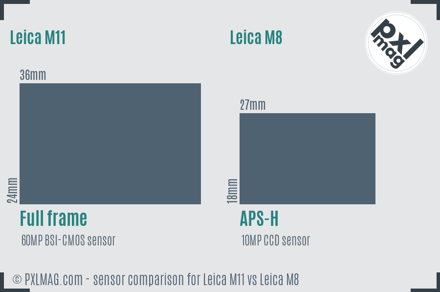 Leica M11 vs Leica M8 sensor size comparison