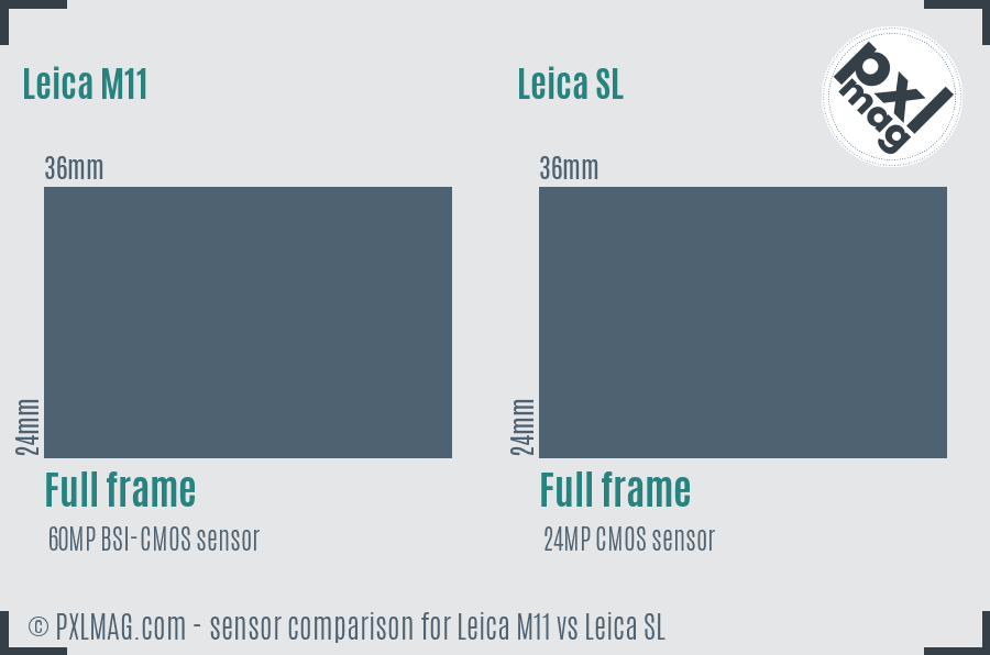 Leica M11 vs Leica SL sensor size comparison
