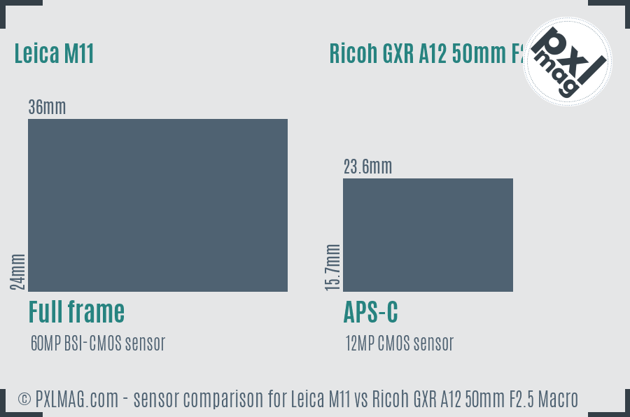 Leica M11 vs Ricoh GXR A12 50mm F2.5 Macro sensor size comparison