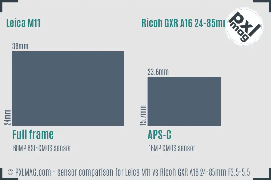 Leica M11 vs Ricoh GXR A16 24-85mm F3.5-5.5 sensor size comparison