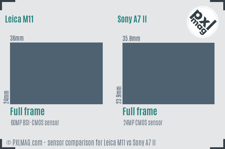 Leica M11 vs Sony A7 II sensor size comparison