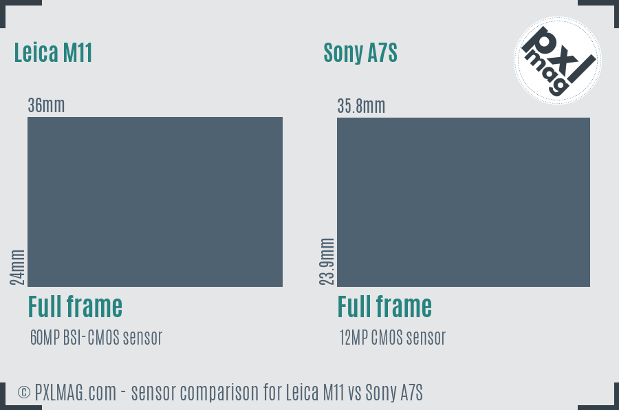 Leica M11 vs Sony A7S sensor size comparison