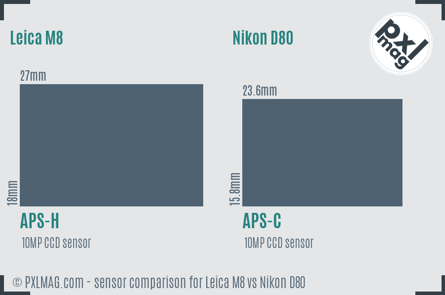Leica M8 vs Nikon D80 sensor size comparison