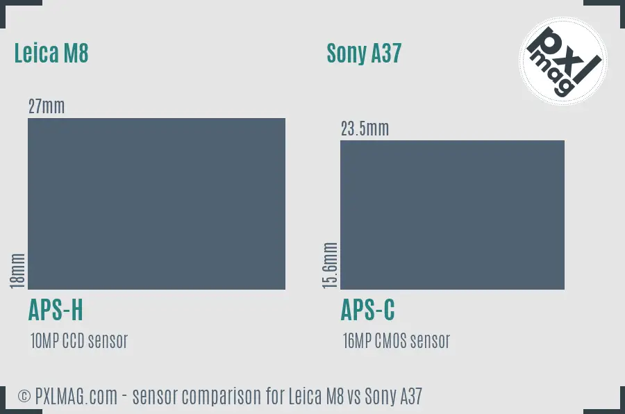Leica M8 vs Sony A37 sensor size comparison