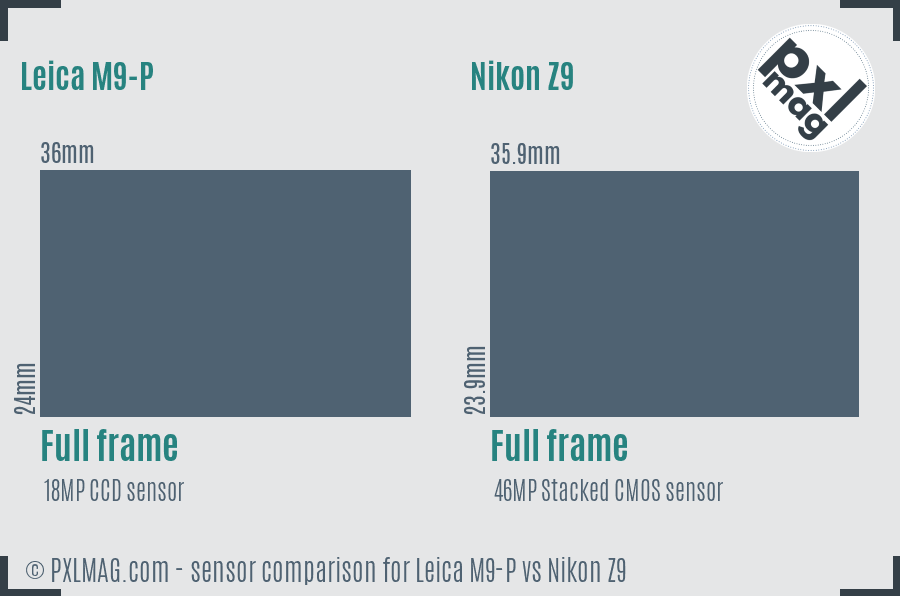 Leica M9-P vs Nikon Z9 sensor size comparison