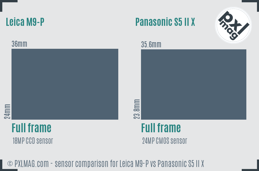 Leica M9-P vs Panasonic S5 II X sensor size comparison