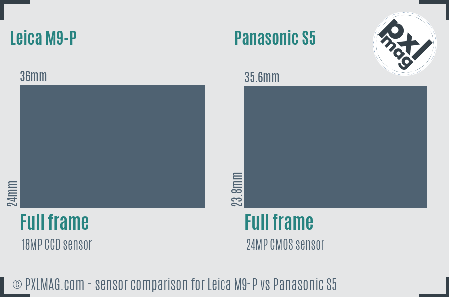 Leica M9-P vs Panasonic S5 sensor size comparison