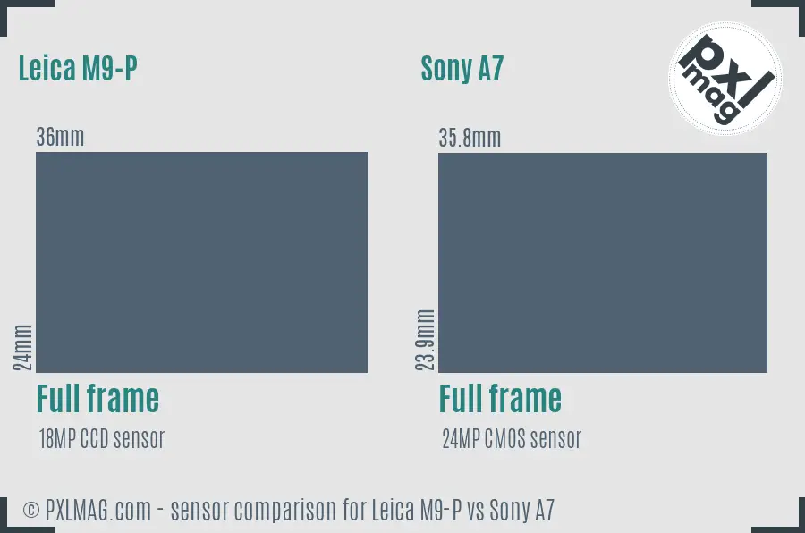 Leica M9-P vs Sony A7 sensor size comparison