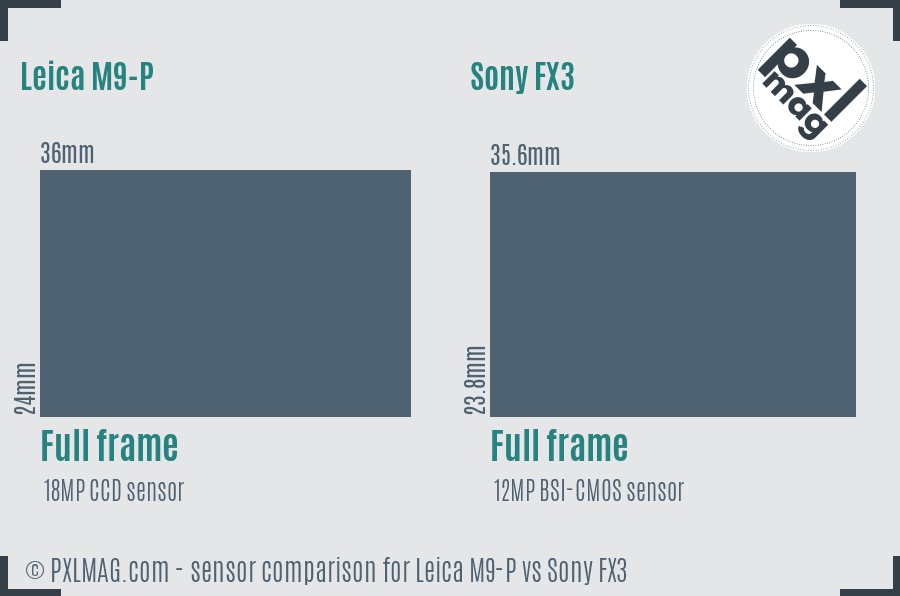 Leica M9-P vs Sony FX3 sensor size comparison