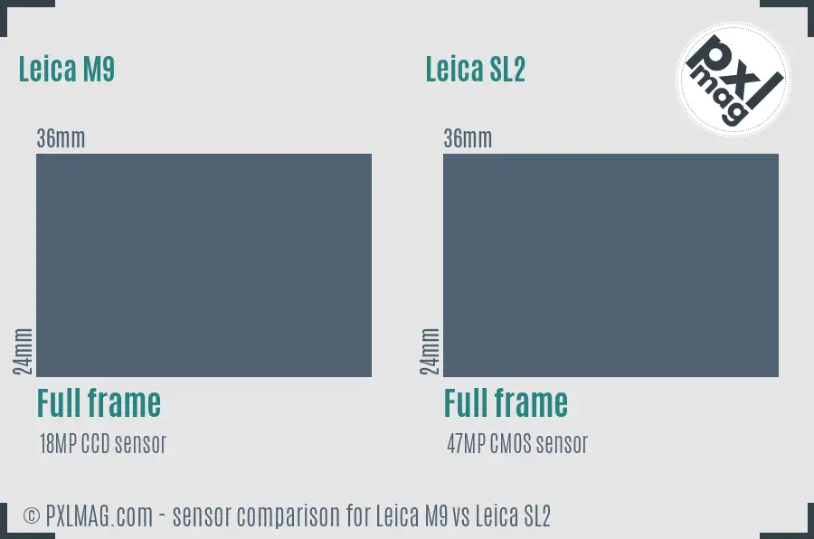 Leica M9 vs Leica SL2 sensor size comparison