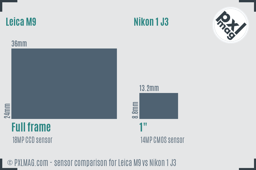 Leica M9 vs Nikon 1 J3 sensor size comparison
