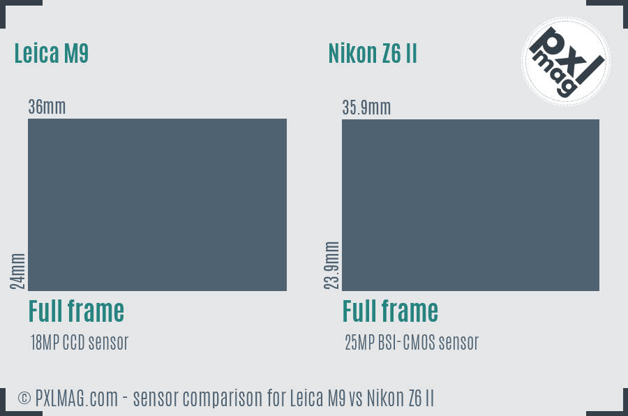 Leica M9 vs Nikon Z6 II sensor size comparison