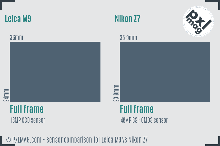 Leica M9 vs Nikon Z7 sensor size comparison Leica M9 vs Nikon Z7 sensor size comparison