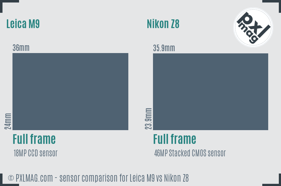 Leica M9 vs Nikon Z8 sensor size comparison