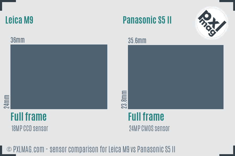 Leica M9 vs Panasonic S5 II sensor size comparison