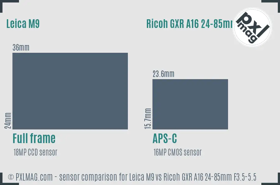 Leica M9 vs Ricoh GXR A16 24-85mm F3.5-5.5 sensor size comparison Leica M9 vs Ricoh GXR A16 24-85mm F3.5-5.5 sensor size comparison
