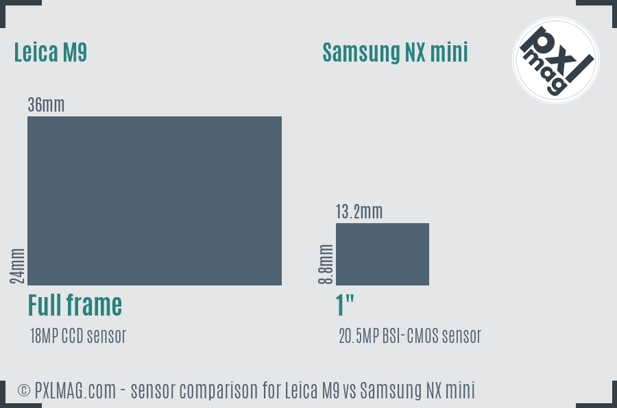 Leica M9 vs Samsung NX mini sensor size comparison