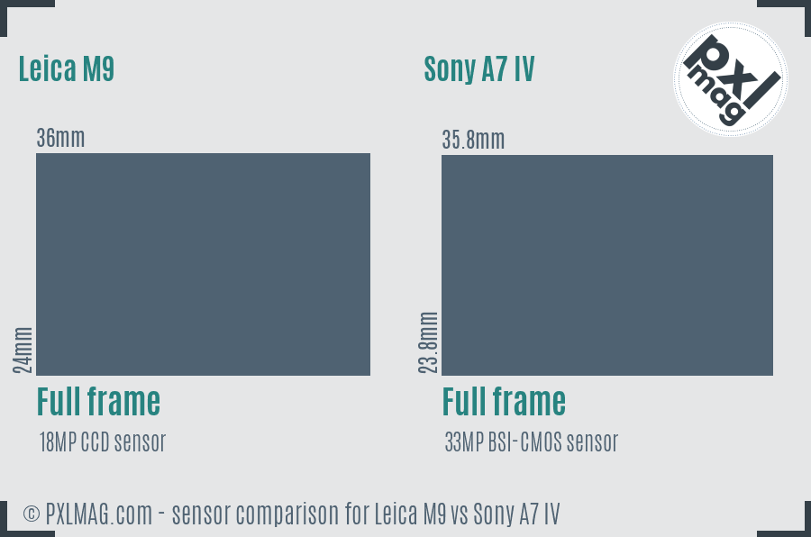 Leica M9 vs Sony A7 IV sensor size comparison