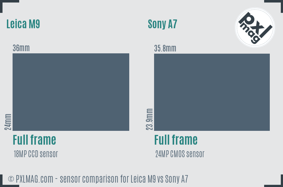 Leica M9 vs Sony A7 sensor size comparison