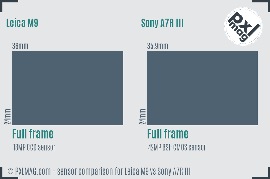 Leica M9 vs Sony A7R III sensor size comparison