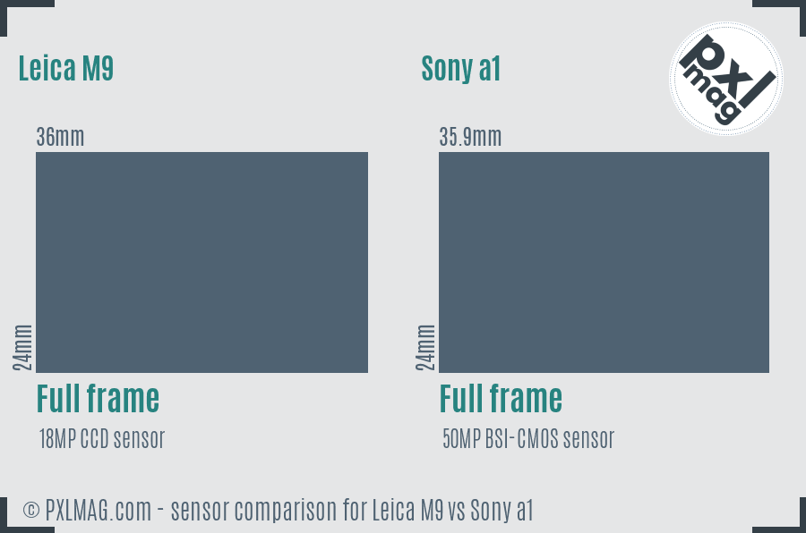 Leica M9 vs Sony a1 sensor size comparison