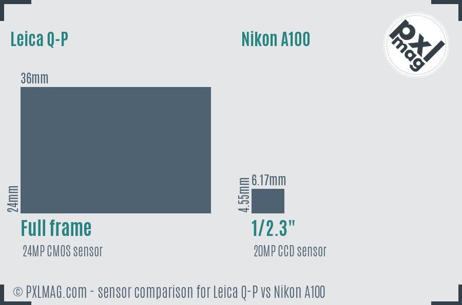 Leica Q-P vs Nikon A100 sensor size comparison