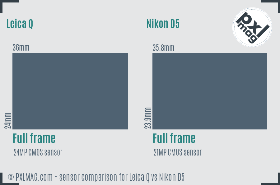 Leica Q vs Nikon D5 sensor size comparison