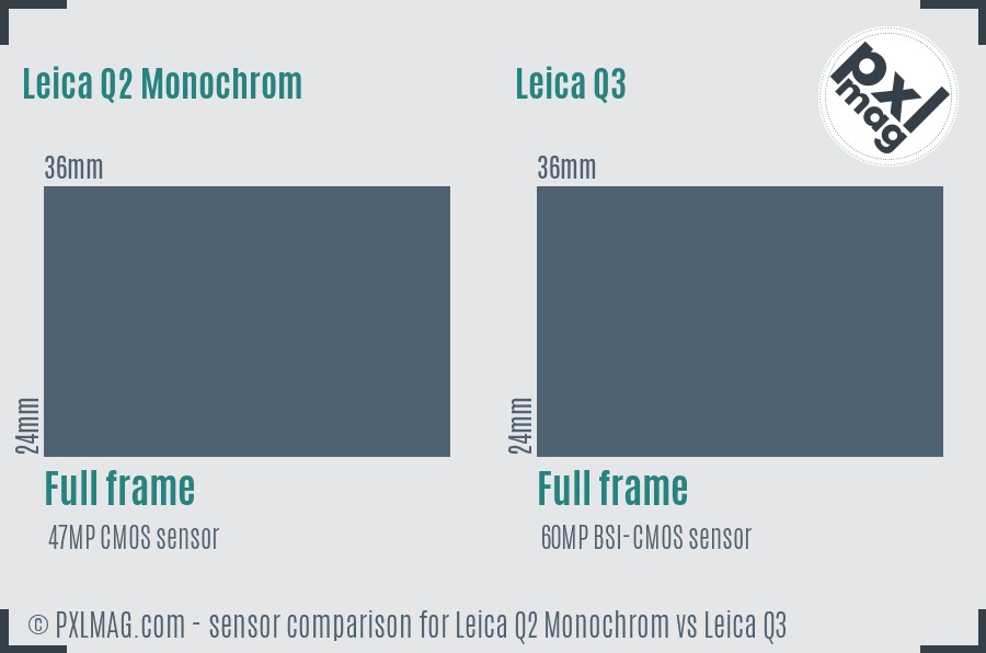 Leica Q2 Monochrom vs Leica Q3 sensor size comparison