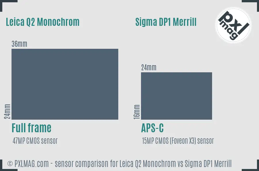 Leica Q2 Monochrom vs Sigma DP1 Merrill sensor size comparison