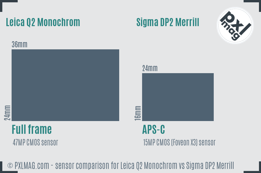Leica Q2 Monochrom vs Sigma DP2 Merrill sensor size comparison