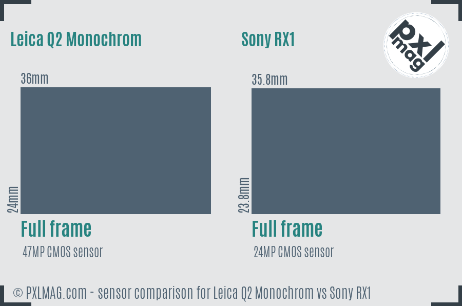Leica Q2 Monochrom vs Sony RX1 sensor size comparison