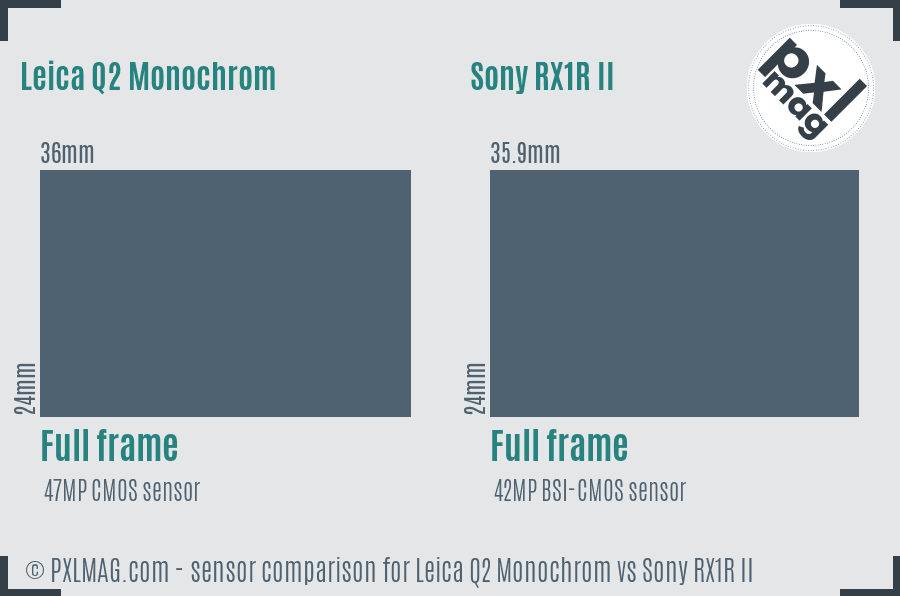 Leica Q2 Monochrom vs Sony RX1R II sensor size comparison