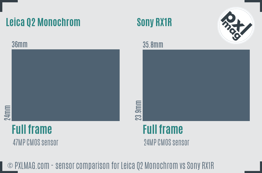 Leica Q2 Monochrom vs Sony RX1R sensor size comparison