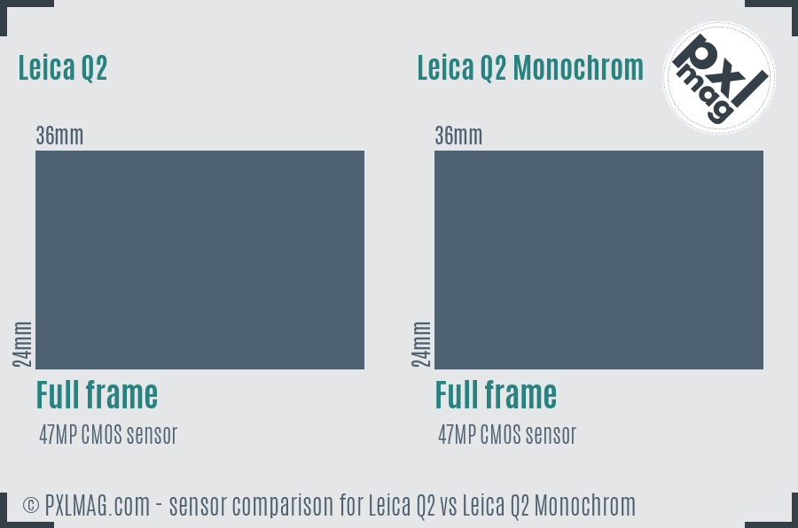 Leica Q2 vs Leica Q2 Monochrom sensor size comparison