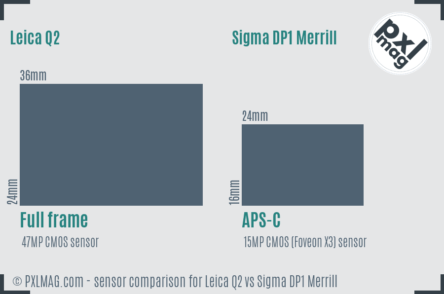 Leica Q2 vs Sigma DP1 Merrill sensor size comparison