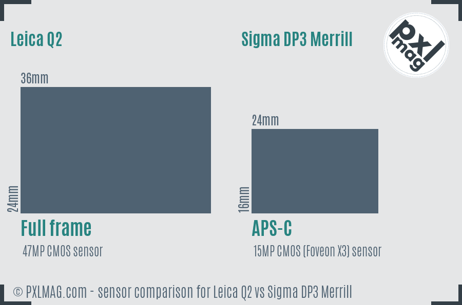 Leica Q2 vs Sigma DP3 Merrill sensor size comparison