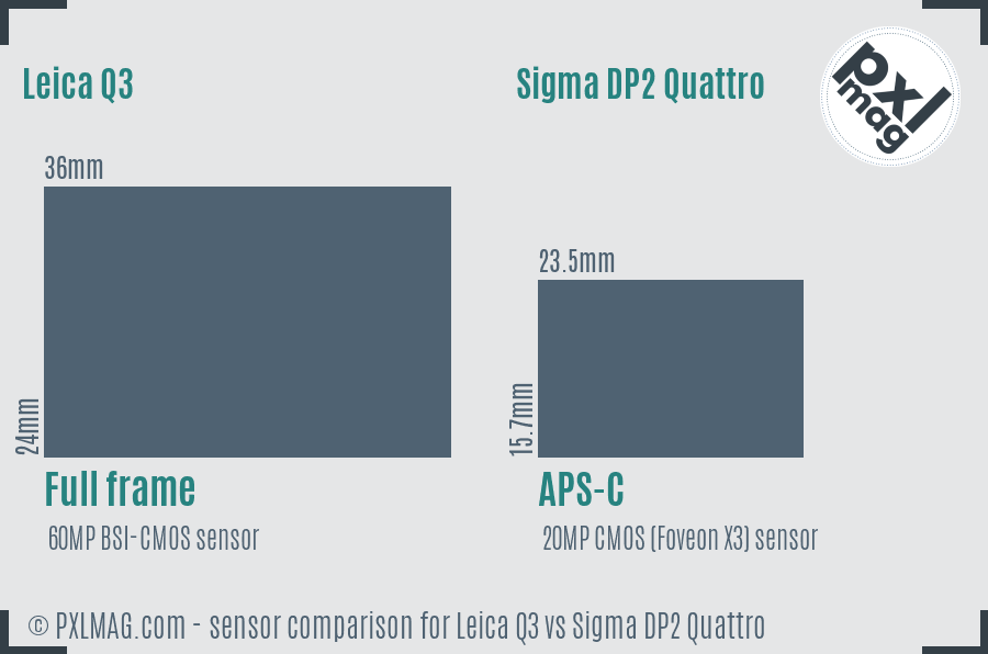 Leica Q3 vs Sigma DP2 Quattro sensor size comparison