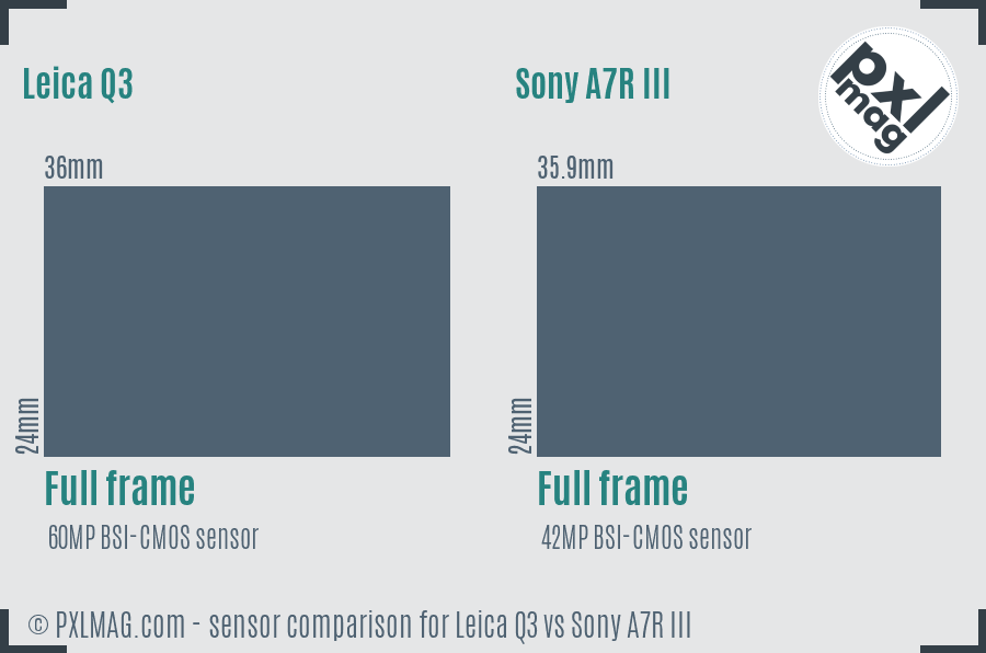 Leica Q3 vs Sony A7R III sensor size comparison