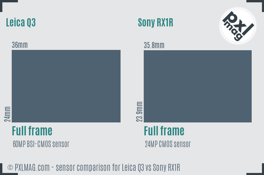 Leica Q3 vs Sony RX1R sensor size comparison