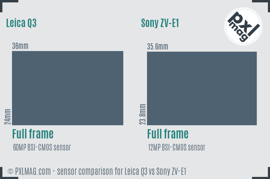 Leica Q3 vs Sony ZV-E1 sensor size comparison