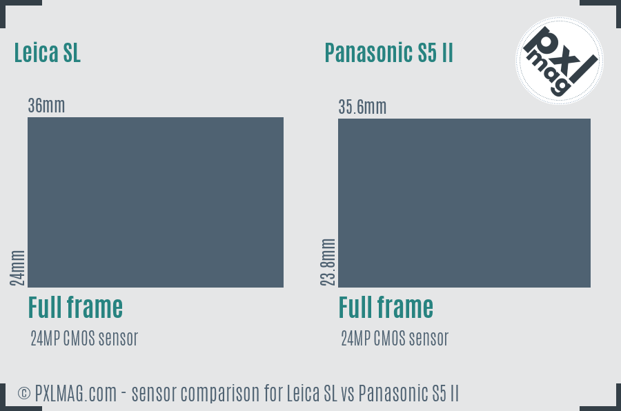 Leica SL vs Panasonic S5 II sensor size comparison