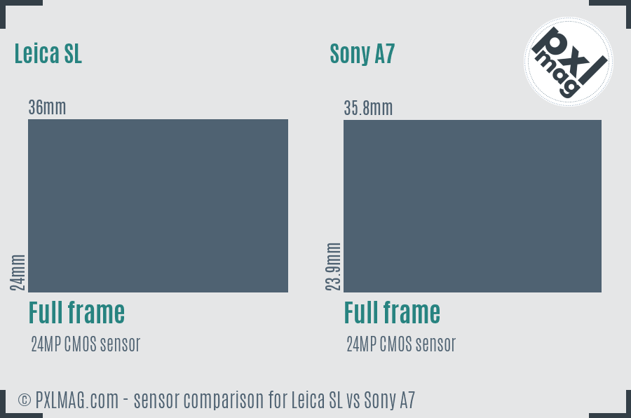 Leica SL vs Sony A7 sensor size comparison Leica SL vs Sony A7 sensor size comparison