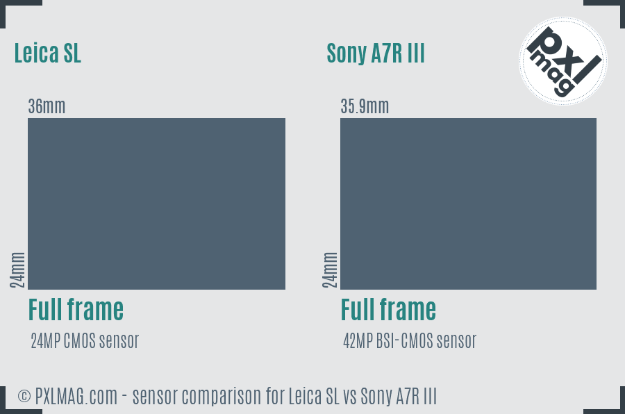 Leica SL vs Sony A7R III sensor size comparison